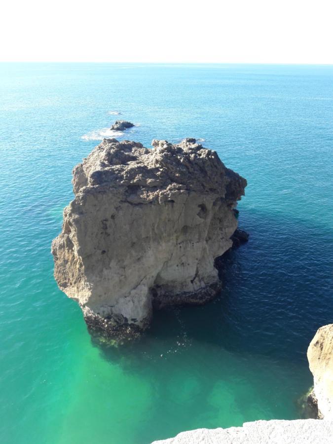 Casa Das Ondas - Praia Do Norte Nazaré Eksteriør bilde